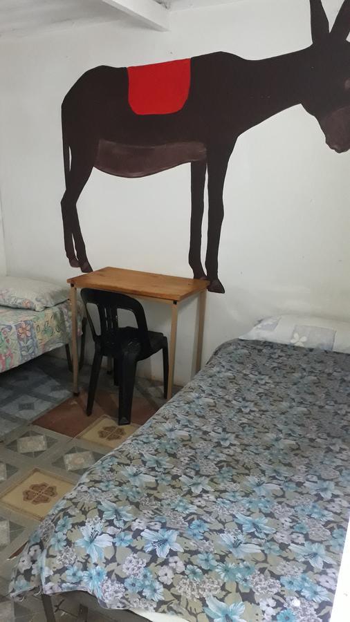 Paljas Backpackers Hotel Потчефструм Екстериор снимка