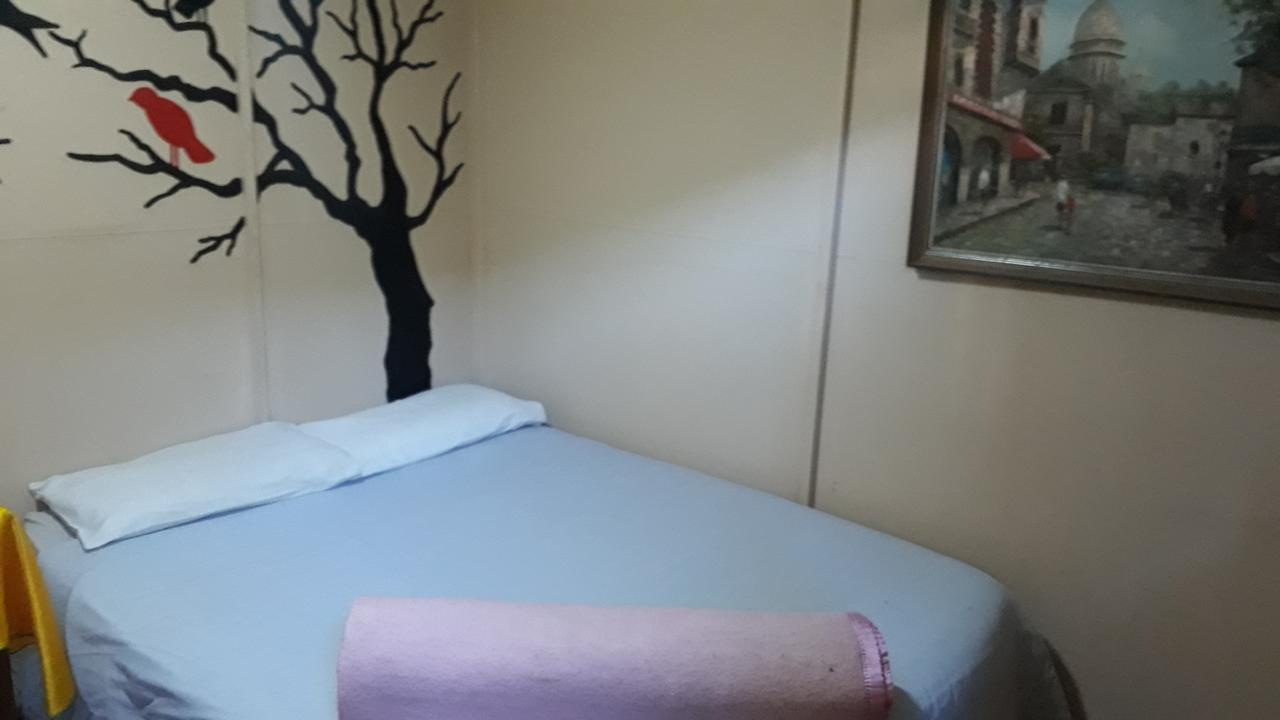 Paljas Backpackers Hotel Потчефструм Екстериор снимка